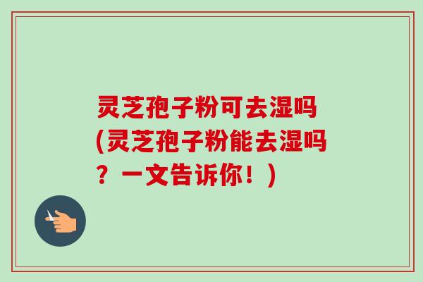灵芝孢子粉可去湿吗 (灵芝孢子粉能去湿吗?一文告诉你!)