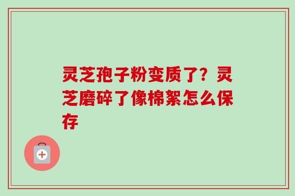 灵芝孢子粉变质了？灵芝磨碎了像棉絮怎么保存