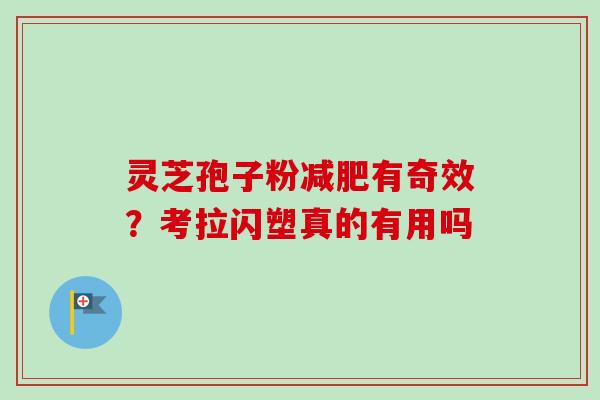 灵芝孢子粉减肥有奇效?考拉闪塑真的有用吗
