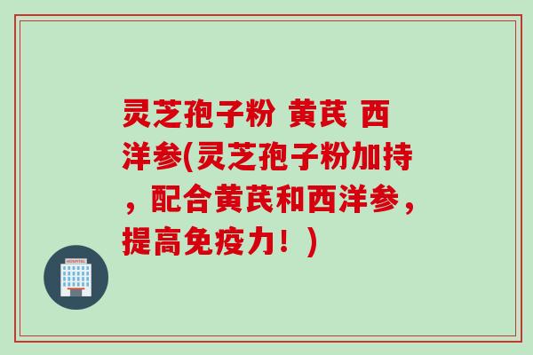 灵芝孢子粉 黄芪 西洋参(灵芝孢子粉加持，配合黄芪和西洋参，提高免疫力！)