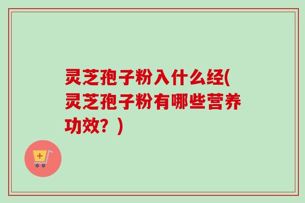 灵芝孢子粉入什么经(灵芝孢子粉有哪些营养功效?)