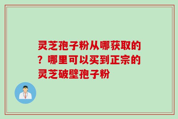 灵芝孢子粉从哪获取的?哪里可以买到正宗的灵芝破壁孢子粉