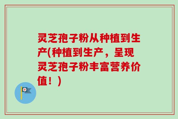 灵芝孢子粉从种植到生产(种植到生产,呈现灵芝孢子粉丰富营养价值!)