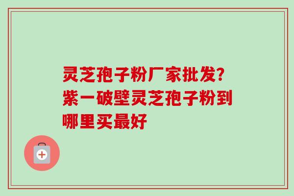 灵芝孢子粉厂家批发?紫一破壁灵芝孢子粉到哪里买最好