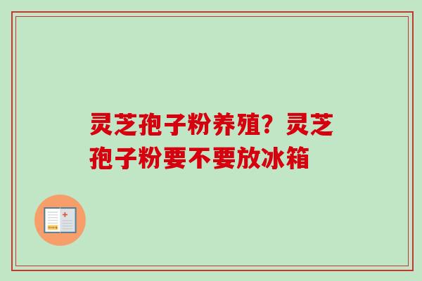 灵芝孢子粉养殖?灵芝孢子粉要不要放冰箱