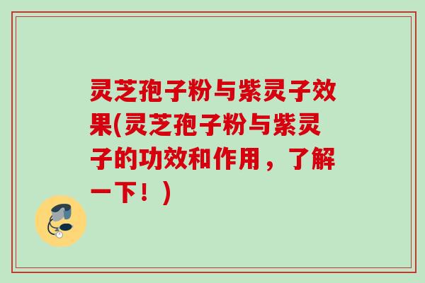 灵芝孢子粉与紫灵子效果(灵芝孢子粉与紫灵子的功效和作用,了解一下!)