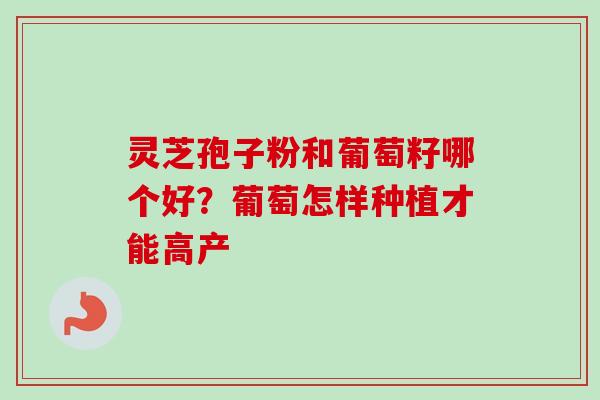 灵芝孢子粉和葡萄籽哪个好？葡萄怎样种植才能高产