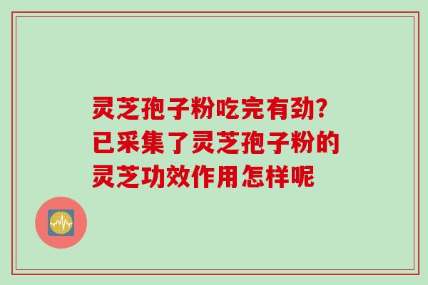 灵芝孢子粉吃完有劲？已采集了灵芝孢子粉的灵芝功效作用怎样呢