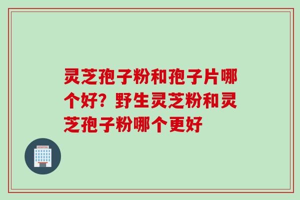 灵芝孢子粉和孢子片哪个好?野生灵芝粉和灵芝孢子粉哪个更好