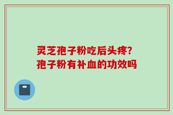 灵芝孢子粉吃后头疼?孢子粉有补血的功效吗