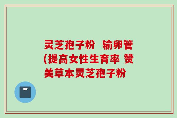 灵芝孢子粉  输卵管(提高女性生育率 赞美草本灵芝孢子粉