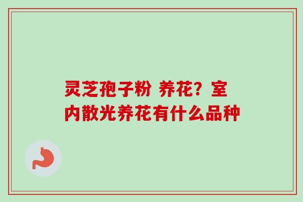 灵芝孢子粉 养花？室内散光养花有什么品种