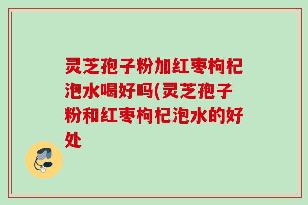 灵芝孢子粉加红枣枸杞泡水喝好吗(灵芝孢子粉和红枣枸杞泡水的好处