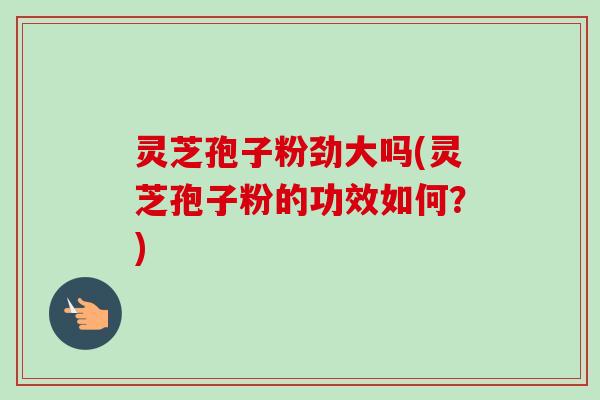 灵芝孢子粉劲大吗(灵芝孢子粉的功效如何?)