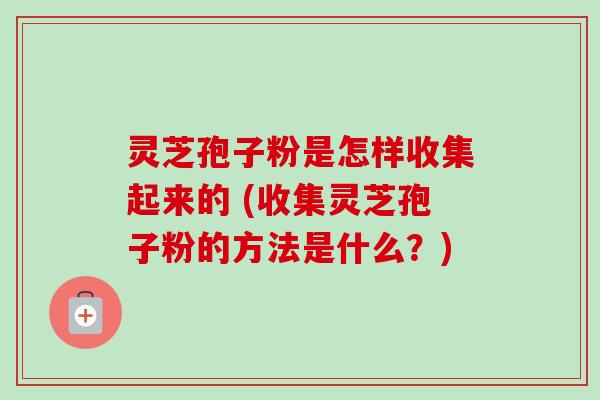 灵芝孢子粉是怎样收集起来的 (收集灵芝孢子粉的方法是什么?)