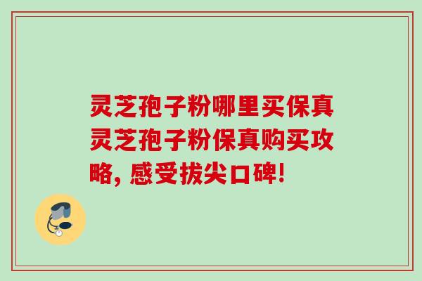 灵芝孢子粉哪里买保真灵芝孢子粉保真购买攻略, 感受拔尖口碑!