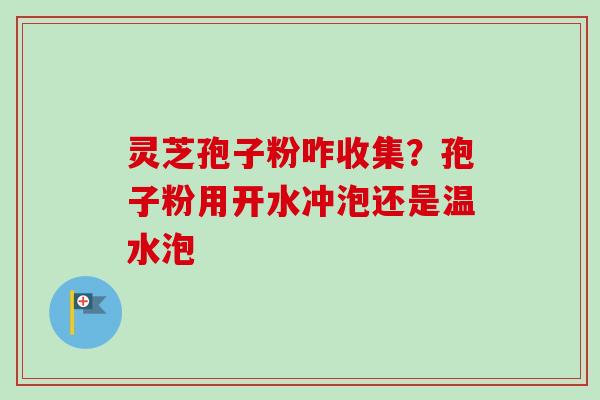 灵芝孢子粉咋收集?孢子粉用开水冲泡还是温水泡 灵芝孢子粉咋收集?孢子粉用开水冲泡还是温水泡
