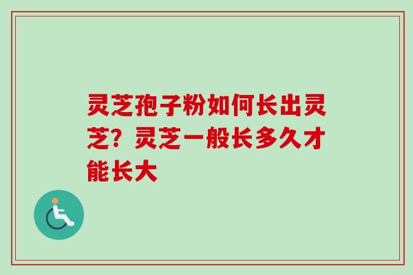 灵芝孢子粉如何长出灵芝?灵芝一般长多久才能长大
