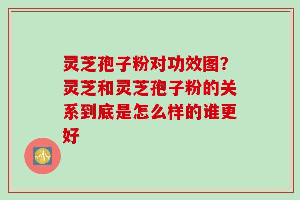 灵芝孢子粉对功效图？灵芝和灵芝孢子粉的关系到底是怎么样的谁更好