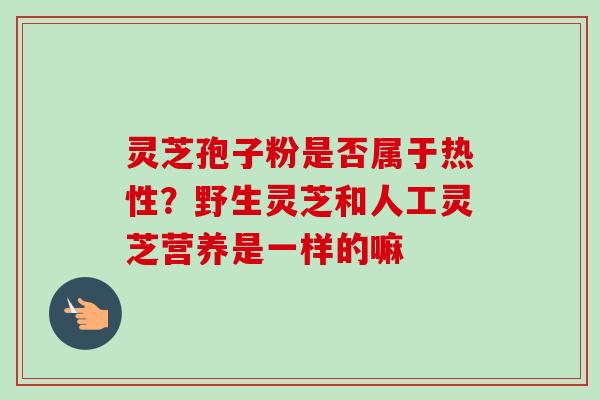 灵芝孢子粉是否属于热性?野生灵芝和人工灵芝营养是一样的嘛