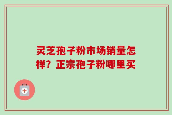 灵芝孢子粉市场销量怎样？正宗孢子粉哪里买