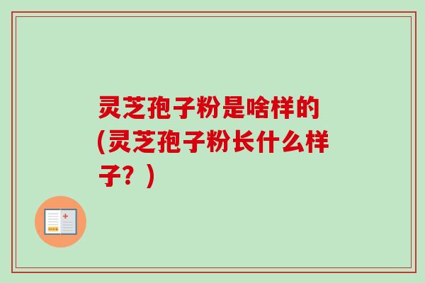 灵芝孢子粉是啥样的 (灵芝孢子粉长什么样子？)