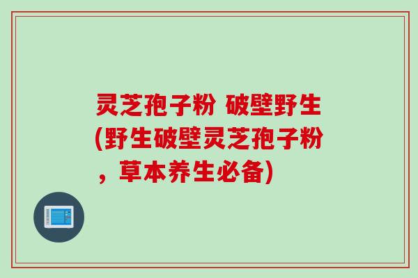 灵芝孢子粉 破壁野生(野生破壁灵芝孢子粉,草本养生必备)