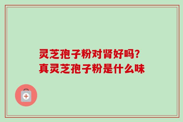 灵芝孢子粉对肾好吗?真灵芝孢子粉是什么味