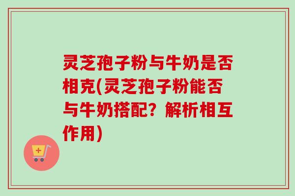 灵芝孢子粉与牛奶是否相克(灵芝孢子粉能否与牛奶搭配?解析相互作用)
