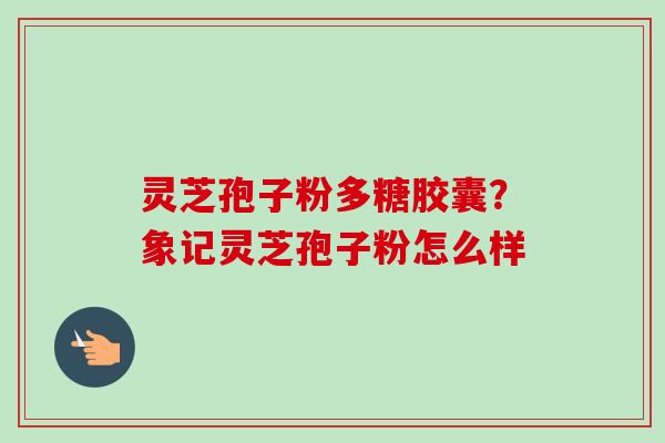 灵芝孢子粉多糖胶囊?象记灵芝孢子粉怎么样
