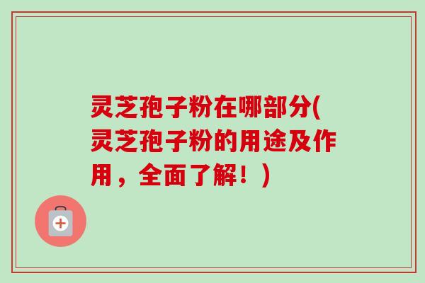灵芝孢子粉在哪部分(灵芝孢子粉的用途及作用,全面了解!)