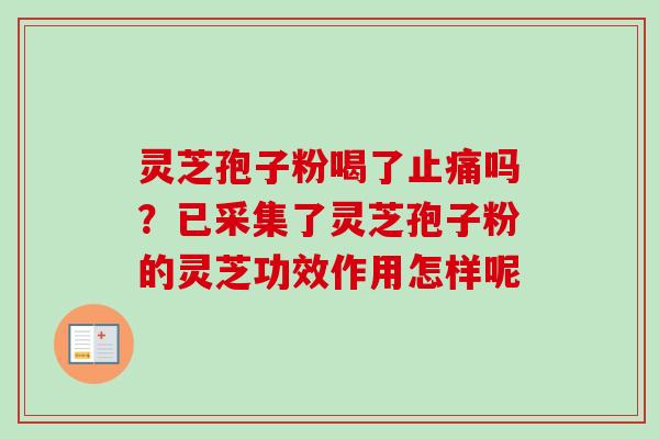 灵芝孢子粉喝了止痛吗?已采集了灵芝孢子粉的灵芝功效作用怎样呢