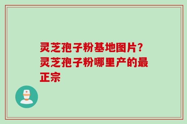 灵芝孢子粉基地图片？灵芝孢子粉哪里产的最正宗