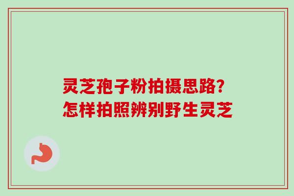 灵芝孢子粉拍摄思路?怎样拍照辨别野生灵芝