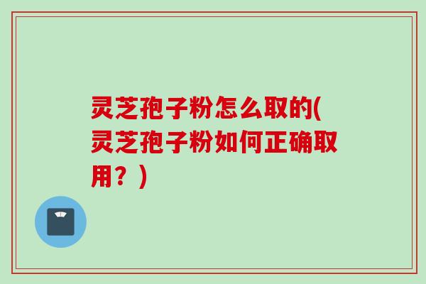 灵芝孢子粉怎么取的(灵芝孢子粉如何正确取用?)