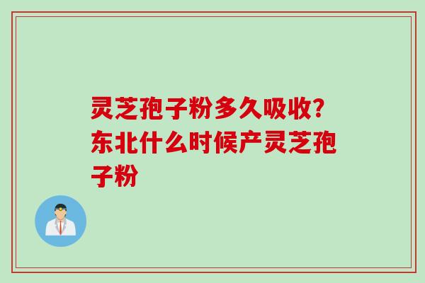 灵芝孢子粉多久吸收？东北什么时候产灵芝孢子粉