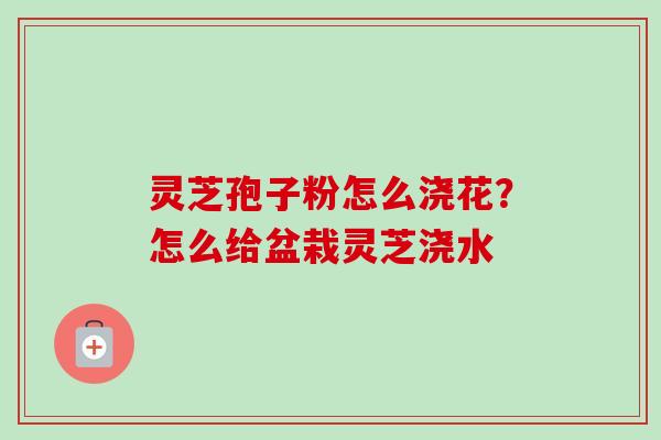 灵芝孢子粉怎么浇花？怎么给盆栽灵芝浇水