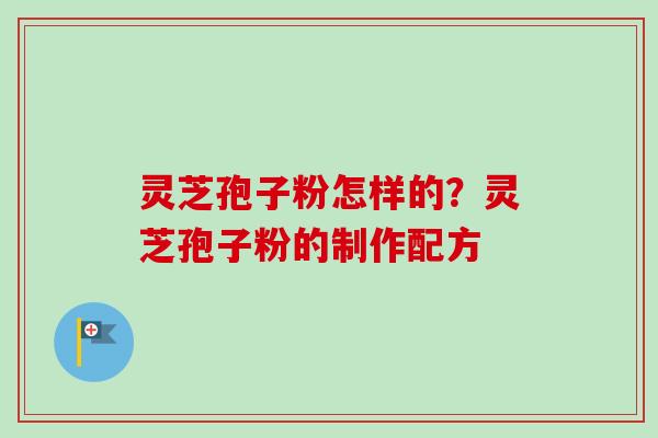 灵芝孢子粉怎样的？灵芝孢子粉的制作配方