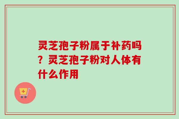 灵芝孢子粉属于补药吗?灵芝孢子粉对人体有什么作用