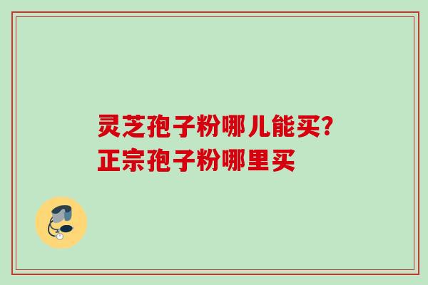 灵芝孢子粉哪儿能买？正宗孢子粉哪里买