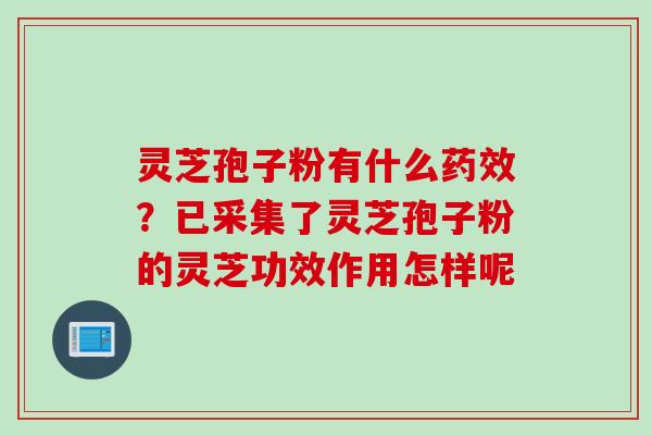 灵芝孢子粉有什么药效？已采集了灵芝孢子粉的灵芝功效作用怎样呢