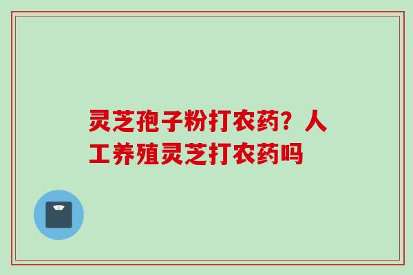 灵芝孢子粉打农药?人工养殖灵芝打农药吗