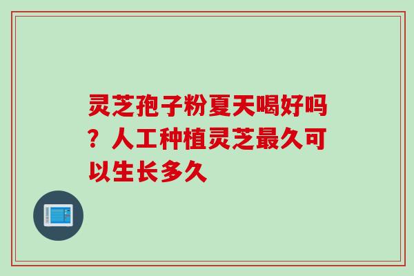 灵芝孢子粉夏天喝好吗?人工种植灵芝最久可以生长多久
