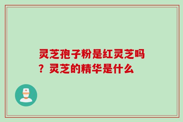 灵芝孢子粉是红灵芝吗?灵芝的精华是什么