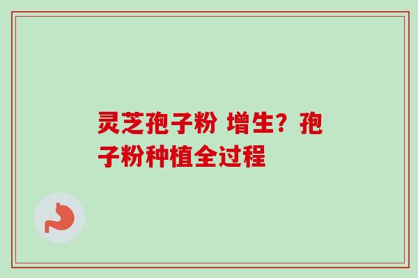 灵芝孢子粉 增生？孢子粉种植全过程