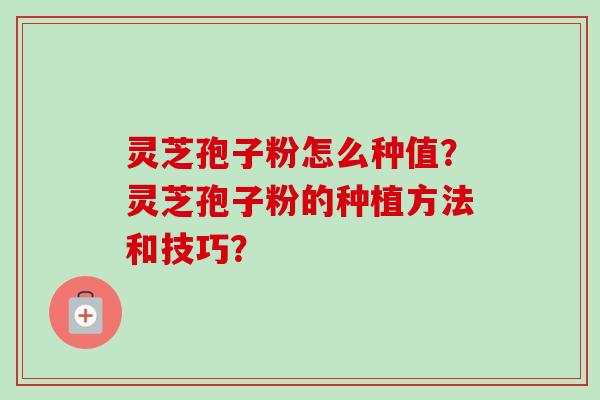 灵芝孢子粉怎么种值？灵芝孢子粉的种植方法和技巧？