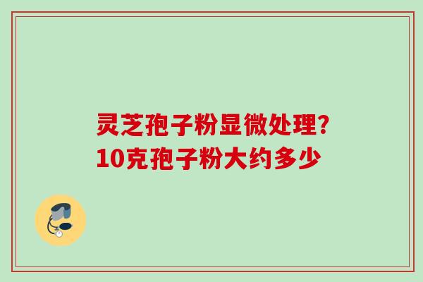 灵芝孢子粉显微处理？10克孢子粉大约多少