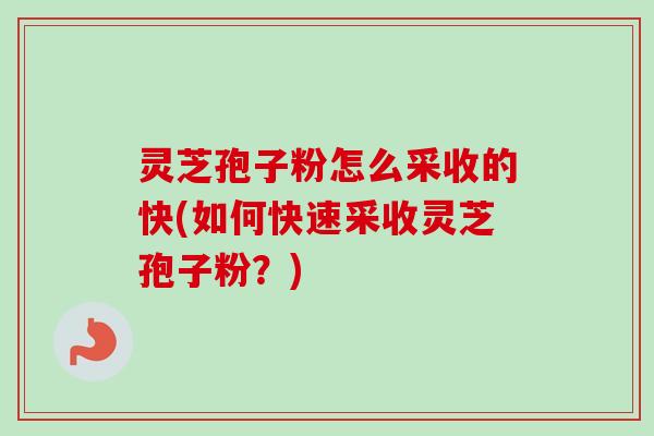 灵芝孢子粉怎么采收的快(如何快速采收灵芝孢子粉?)