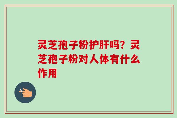 灵芝孢子粉吗?灵芝孢子粉对人体有什么作用 灵芝孢子粉吗?灵芝孢子粉对人体有什么作用