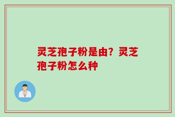 灵芝孢子粉是由？灵芝孢子粉怎么种